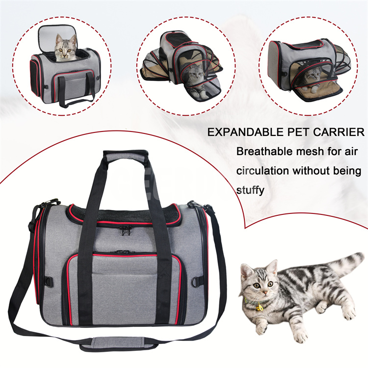 BC-3 cat carrier bag (21)
