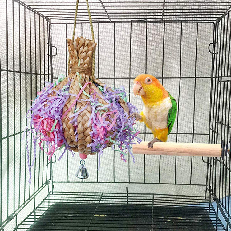 parrot toy (9)