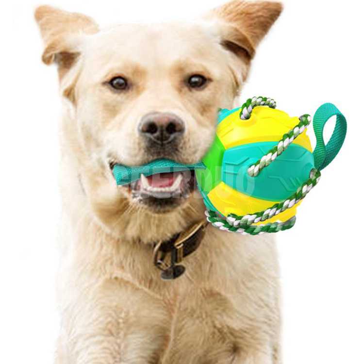 Interactive Pet Flying Disc Bite-resistant Throwing Dog Toy Ball GRDTD-2