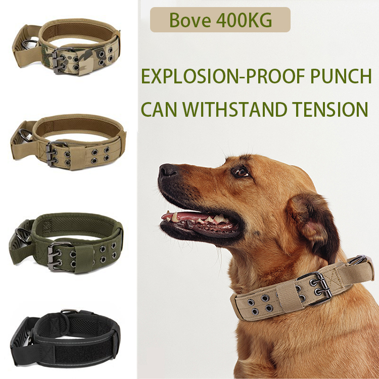 tactical dog collar (11)