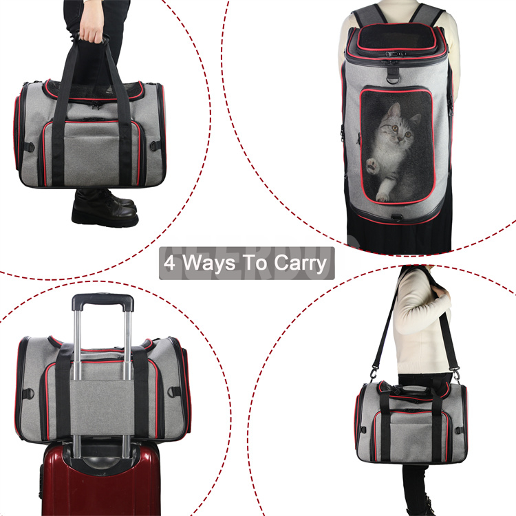BC-3 cat carrier bag (22)