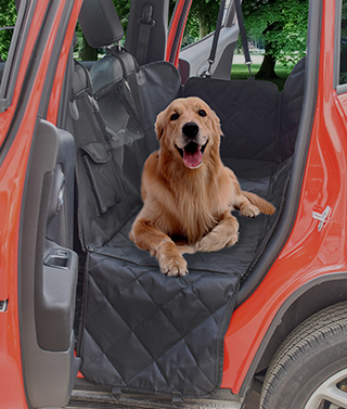 video-dog-car-seat.jpg
