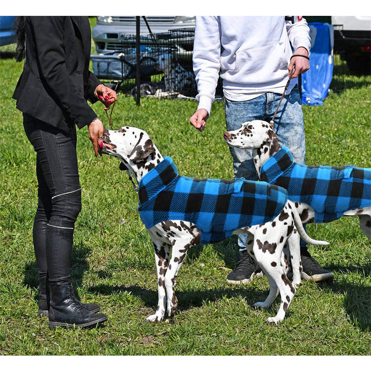 British Style Plaid Dog Winter Coat for Windproof Cozy Cold Weather , GRDAC-9