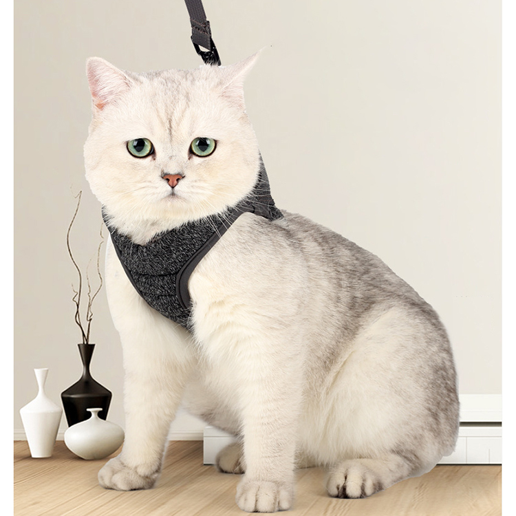 cat harness (8)