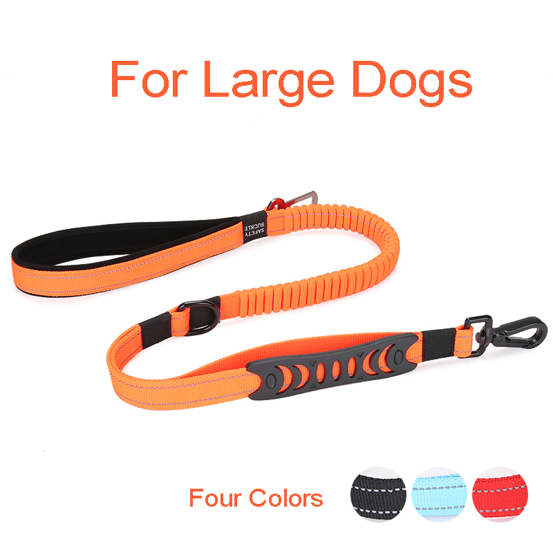 dog leash (8)