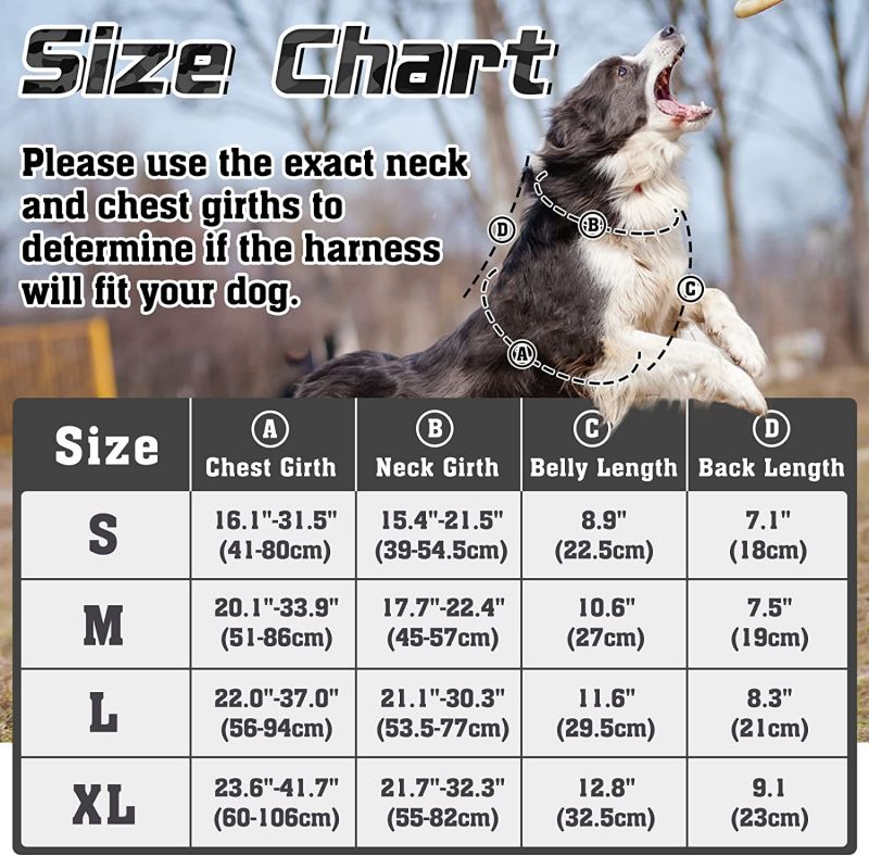 large dog harness 14 (2)