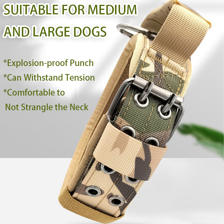 tactical dog collar (21)