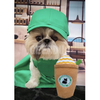 Coffee Cup Squeaky Plush Dog Chew Toy GRDTD-5