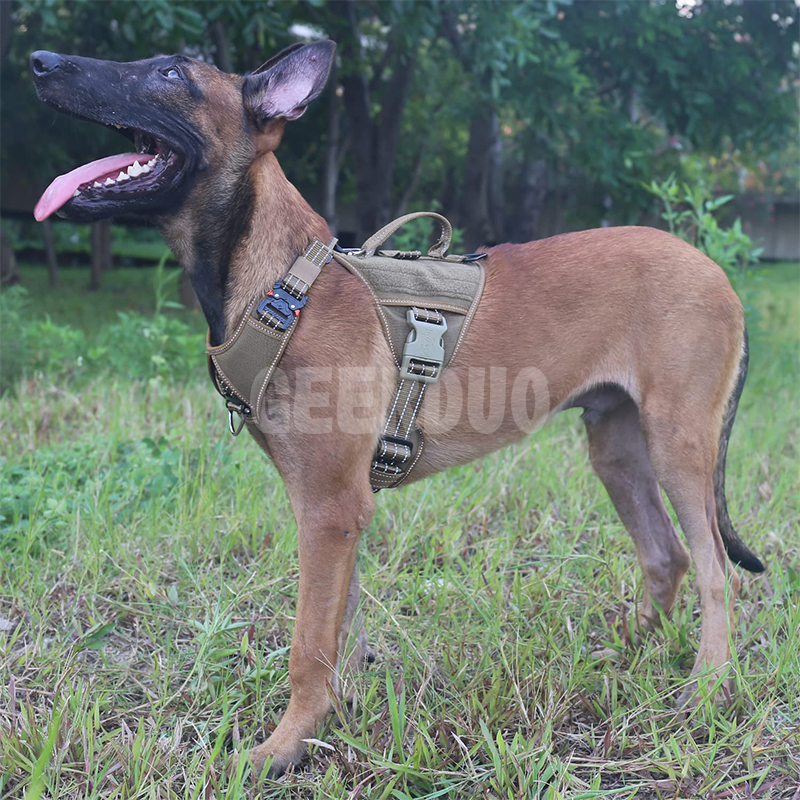 Tactical Dog Harness (7)