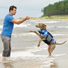 Camo Dog Life Jacket Pet Safety Vest Coat, Ripstop Safety Swimsuit in Pool Beach Lake Kayak Boat Swimming Surfing GRDAJ-4