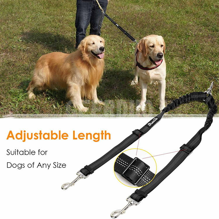 DOG leash (8)