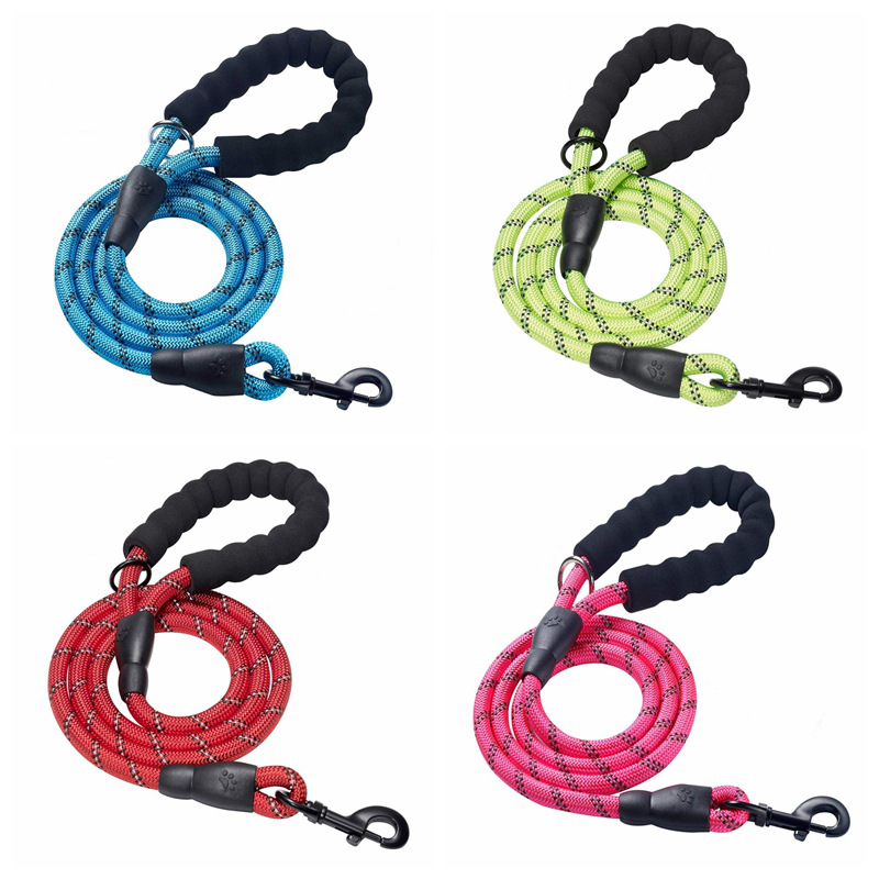 nylon dog leash (8)