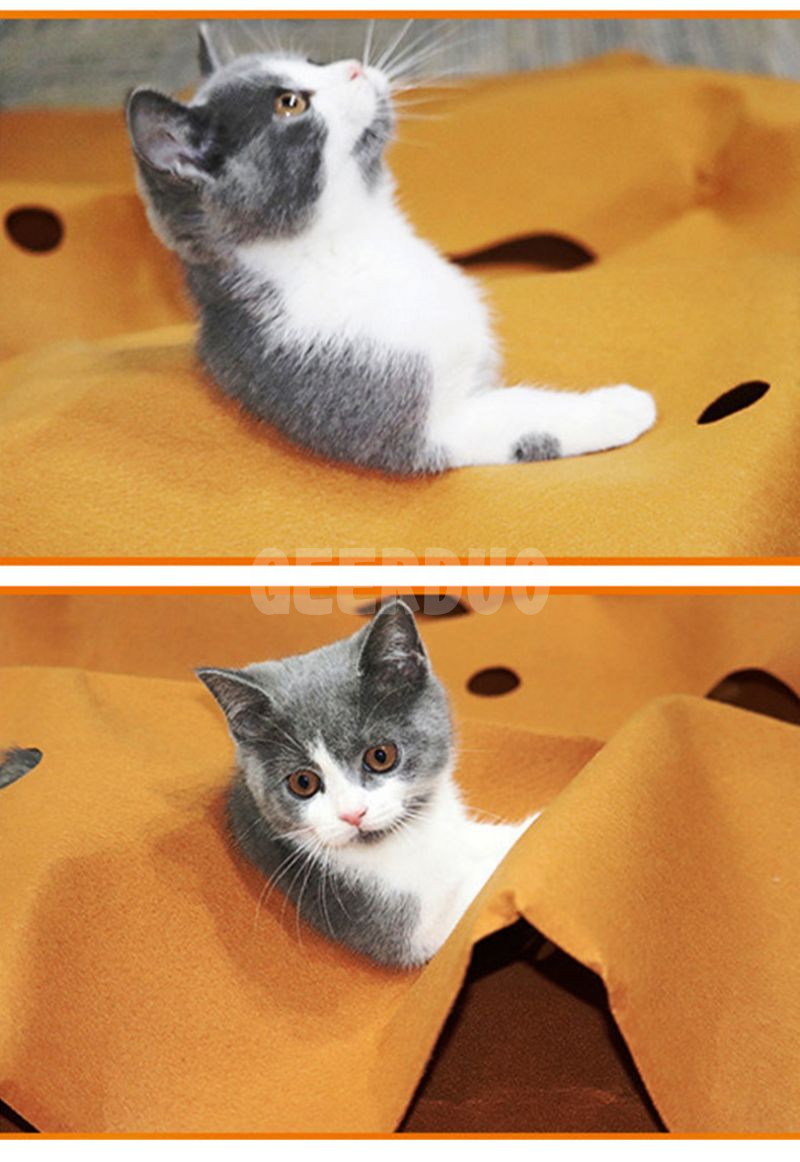 cat tunnel toys (3)