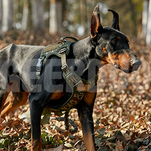 Tactical Dog Harness (9)