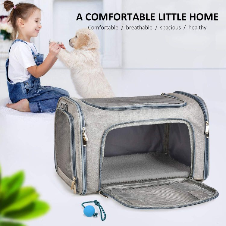 Airline Approved Collapsible Pet Carrier Bags for Puppies GRDBC-1