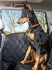 Dog Car Door Cover for Cars, Trucks and SUVs GRDSD-2