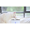 Cat Water Fountain Stainless Steel,Pet Fountain with Smart Pump GRDWF-3