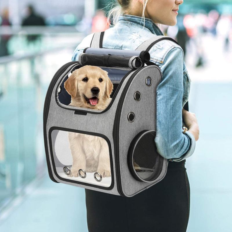 BB-3 pet backpack carrier (6)