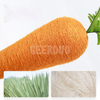 Carrot Cat Scratching Post Designed for Vertical Scratch GRDTR-4