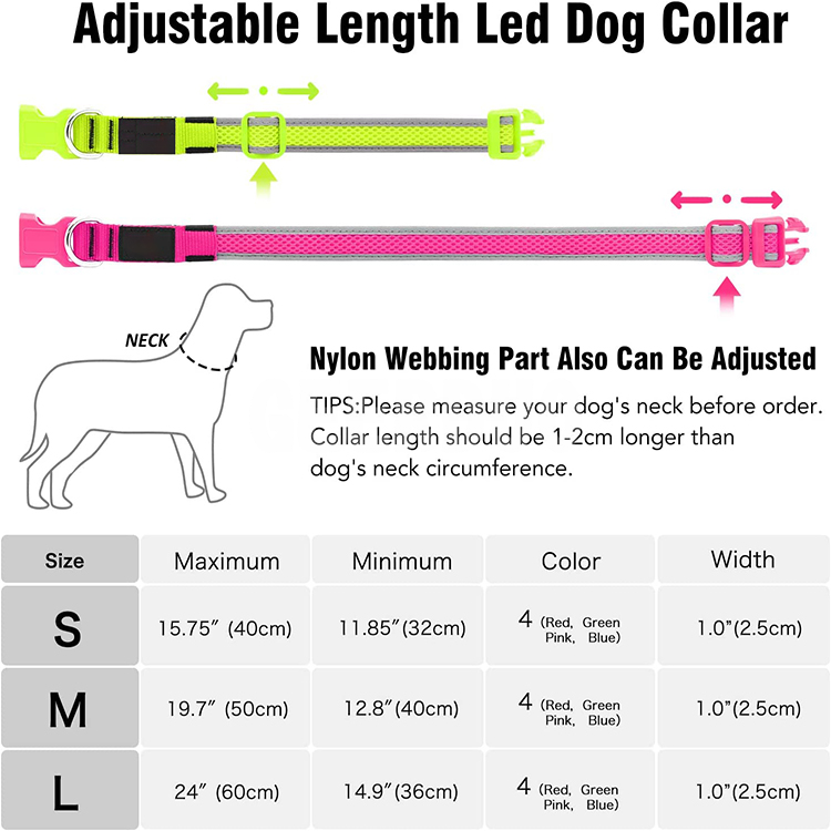 dog collar (4)