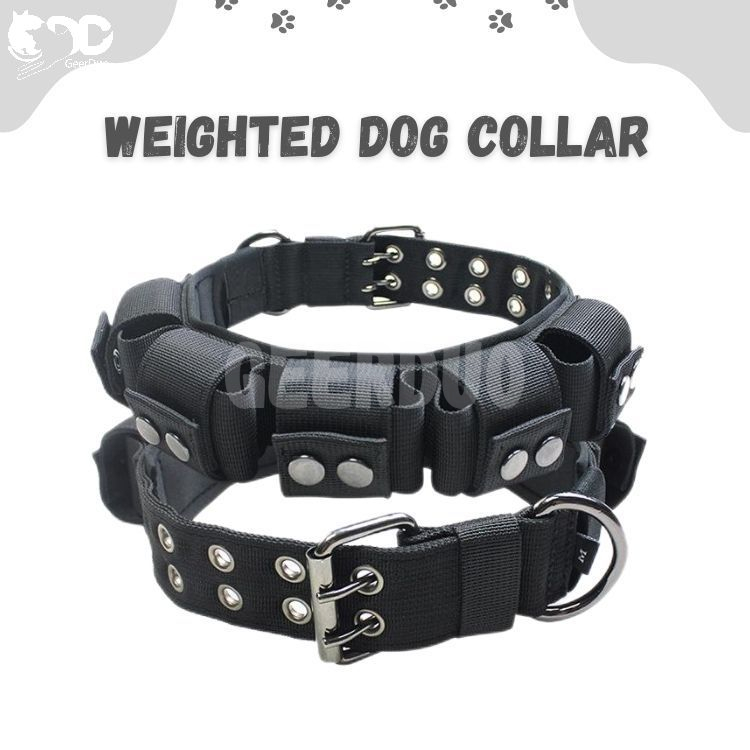 Tactical Dog Collar with Weights GRDHC-12