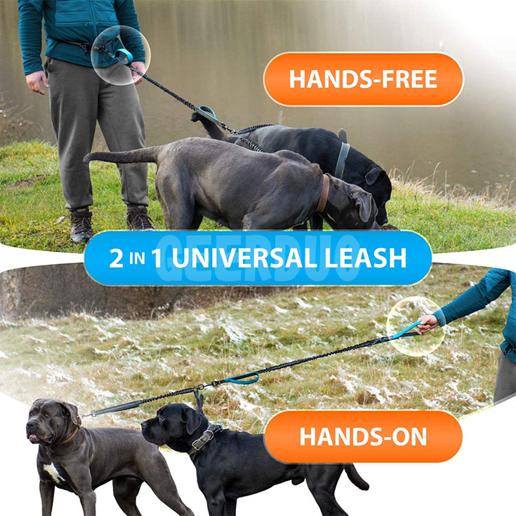 Hands-Free Dog Leash – Professional Harness with Reflective Stitches for Training, Walking, Jogging and Running Your Pet GRDHL-11