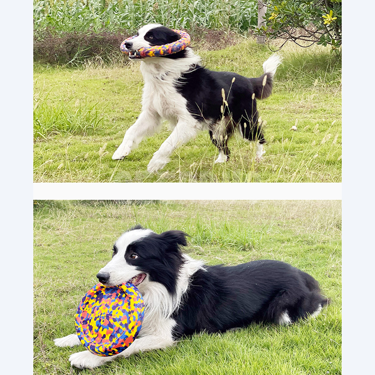 Dog Frisbee Interactive Dog Toys GRDTD-7