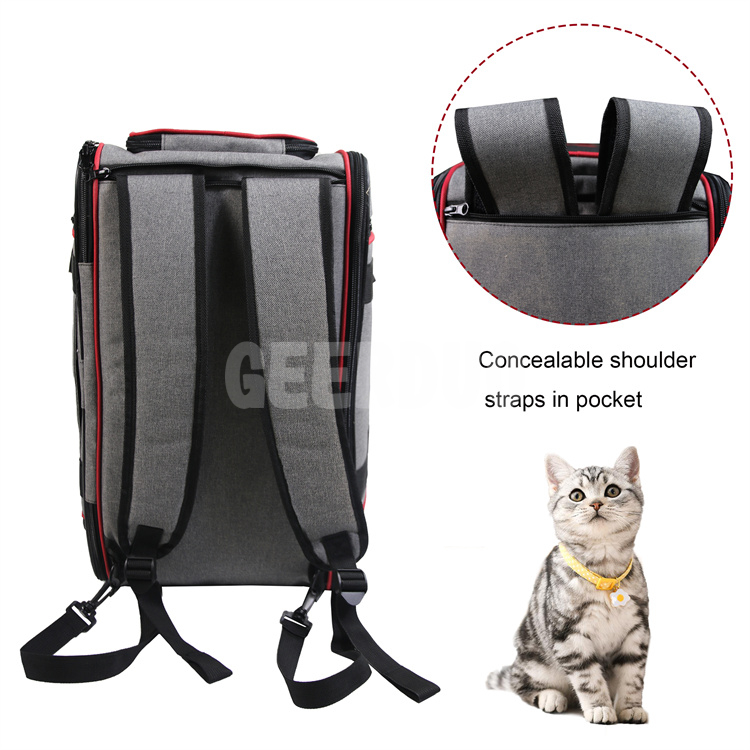 BC-3 cat carrier bag (19)