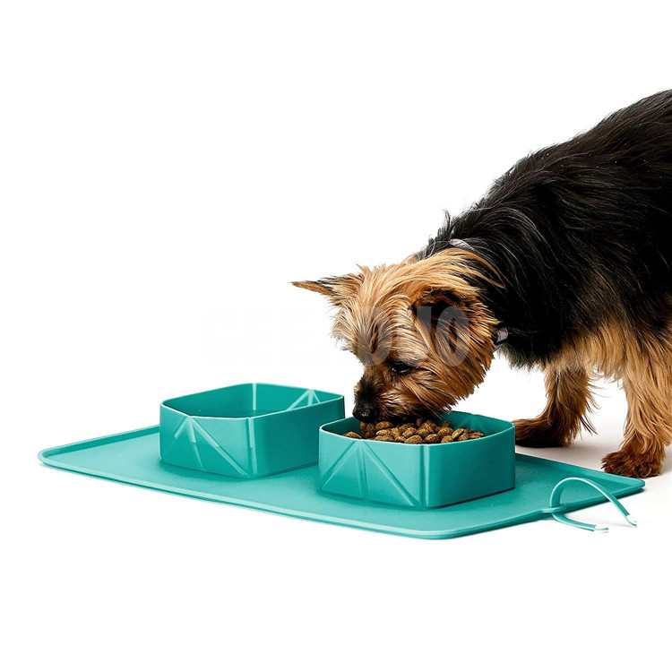 Collapsible Silicone Double Pet Travel Dog Bowl GRDFB-2