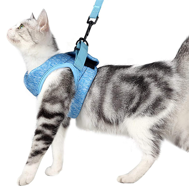 cat harness (1)