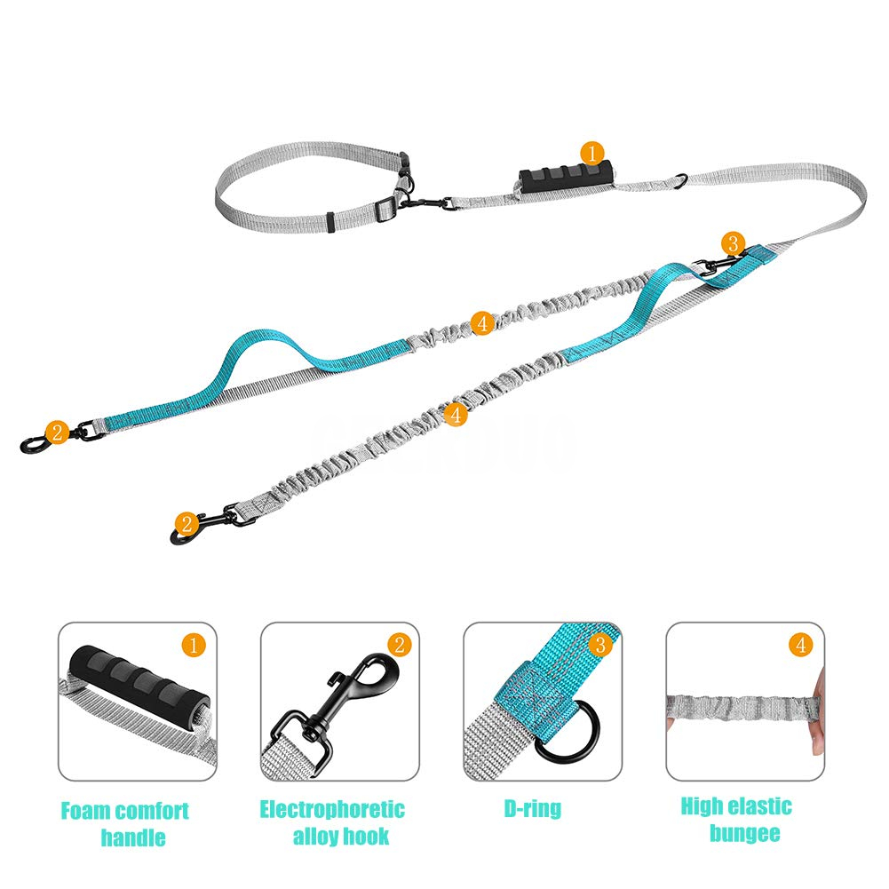 Double Bungee Waist Belt Dog Leash for Two Dogs GRDHL-4