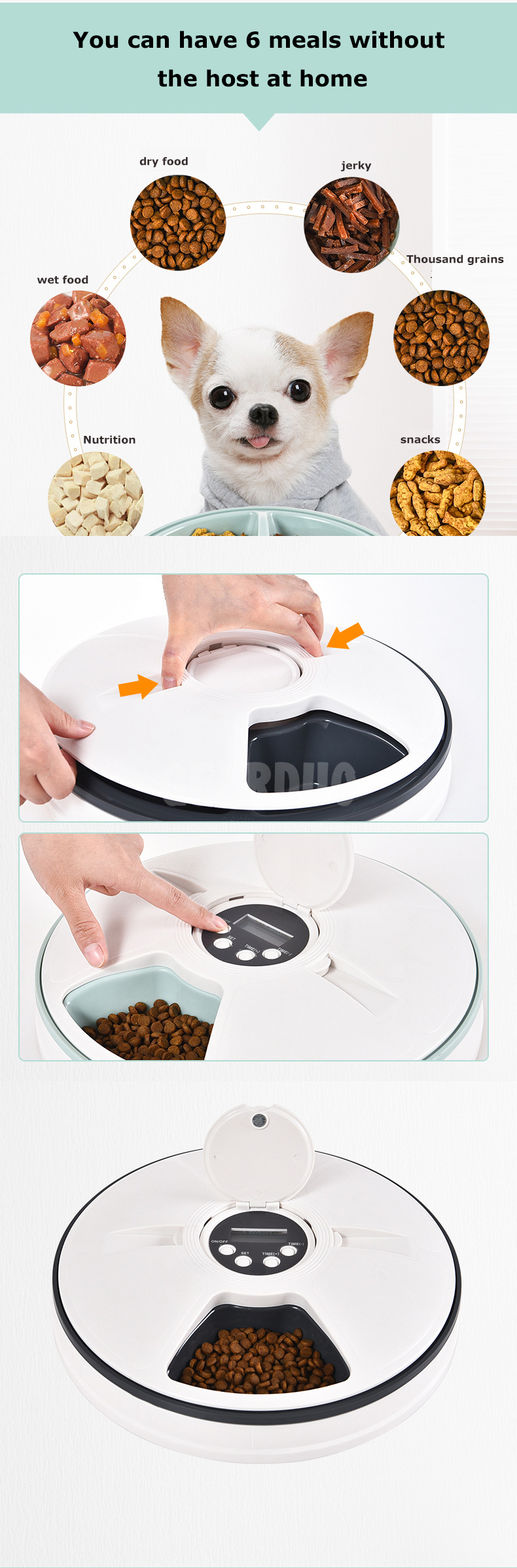 6 Meal Automatic Pet Feeder-Dry Cat Food Dispenser (2)