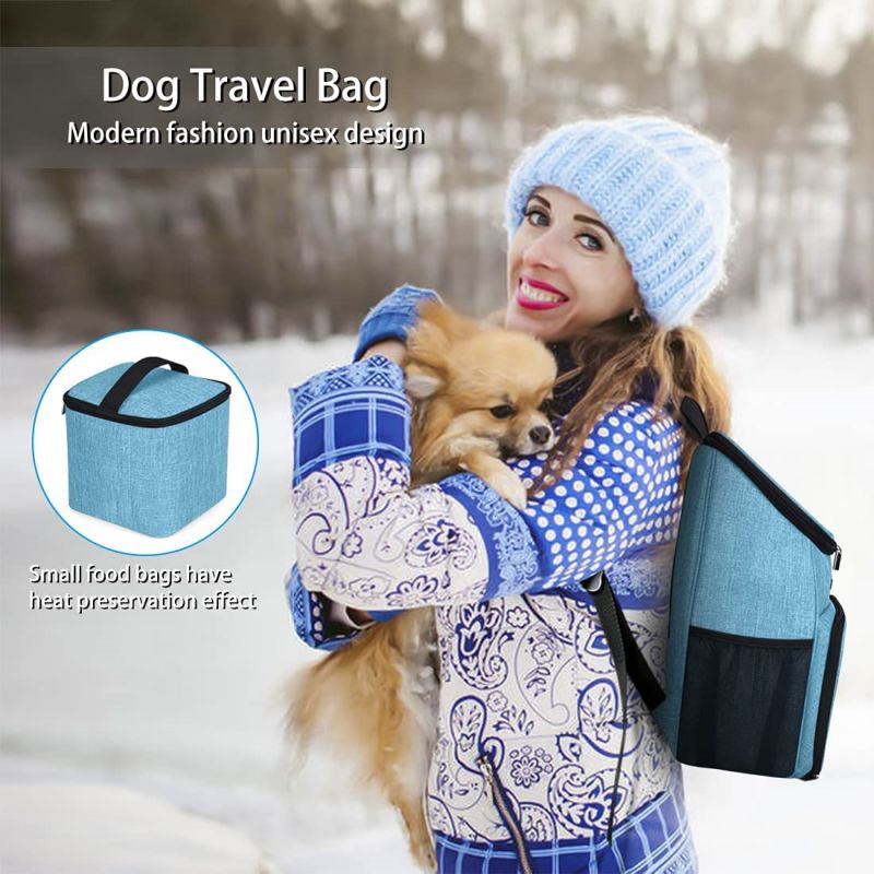 BT-4 dog travel bag (4)