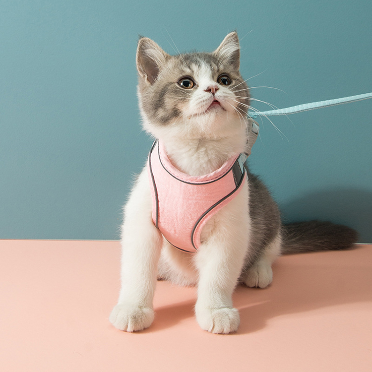 cat harness (11)