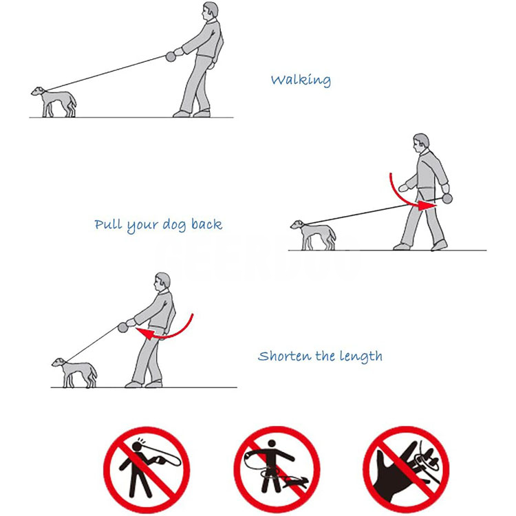 dog leash (4)