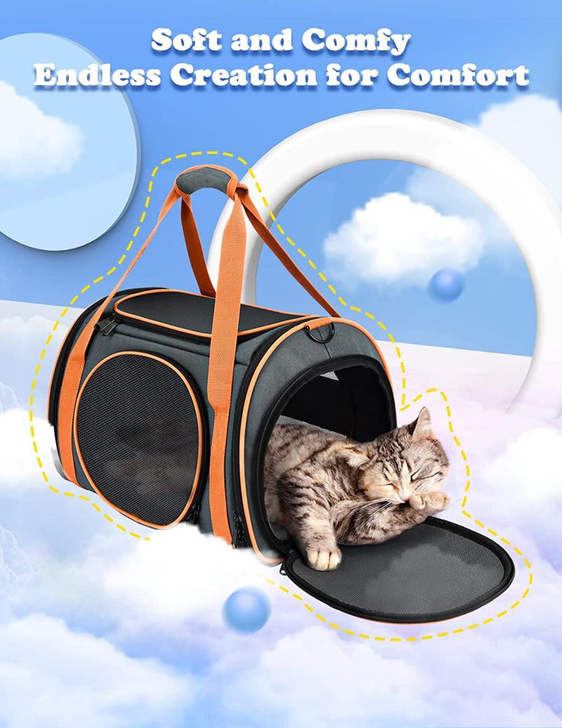 BC-7 cat travel carrier (3)