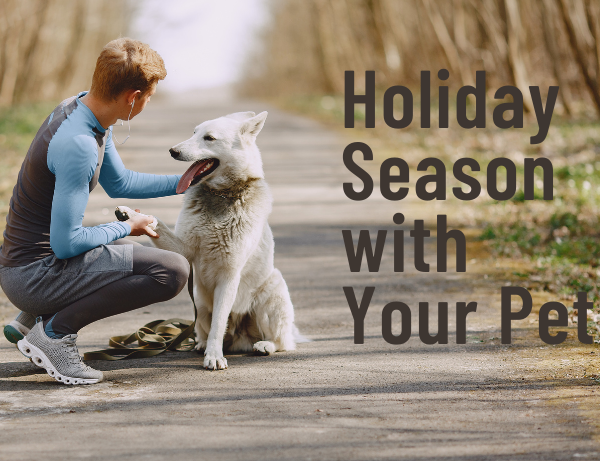 A Pet Owners Guide for a Happy Holiday Season